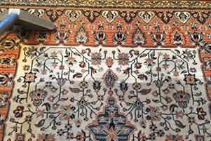 Patterned area rug being cleaned