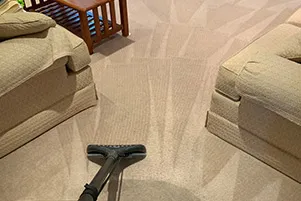 Carpet cleaning wand on a freshly cleaned living room carpet