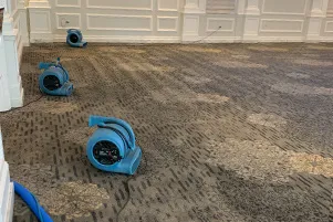 Air movers drying a carpet after water damage