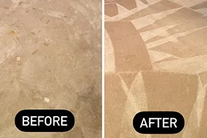 Carpet before and after pet stain removal