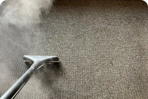 Steam rising from a carpet cleaning wand